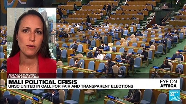 Mali political crisis: UN calls for free, fair polls minus coup leaders