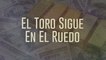 Jesús Chairez - El Toro Sigue En El Ruedo