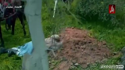 الحلقة 1 الاولى – قضاة عظماء