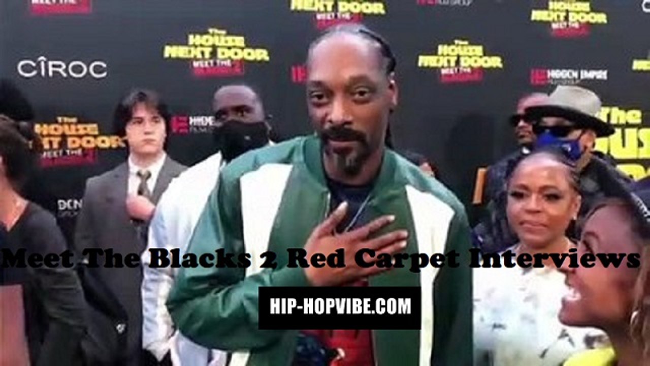 HHV Exclusive: "Meet The Blacks 2" red carpet interviews