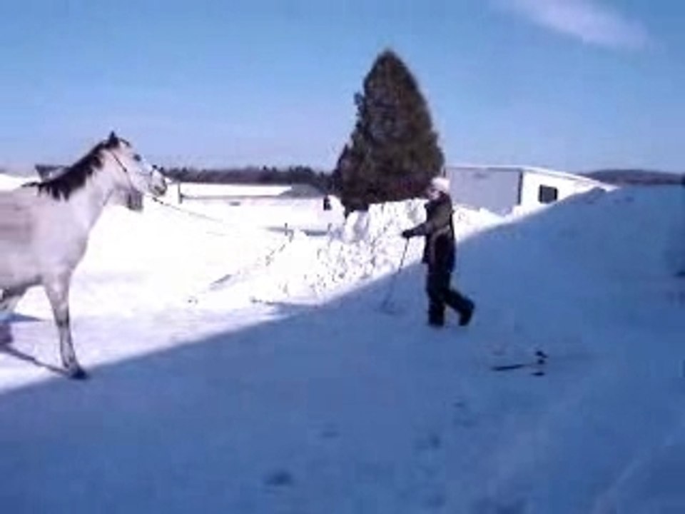 Travail au sol 24 fev 08