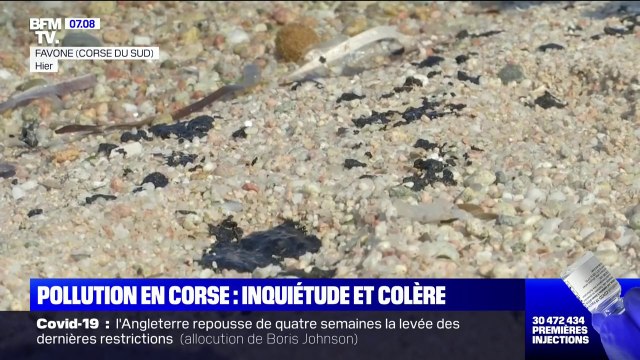 La pollution aux hydrocarbures en Corse provoque l'inquiétude et la colère des pêcheurs