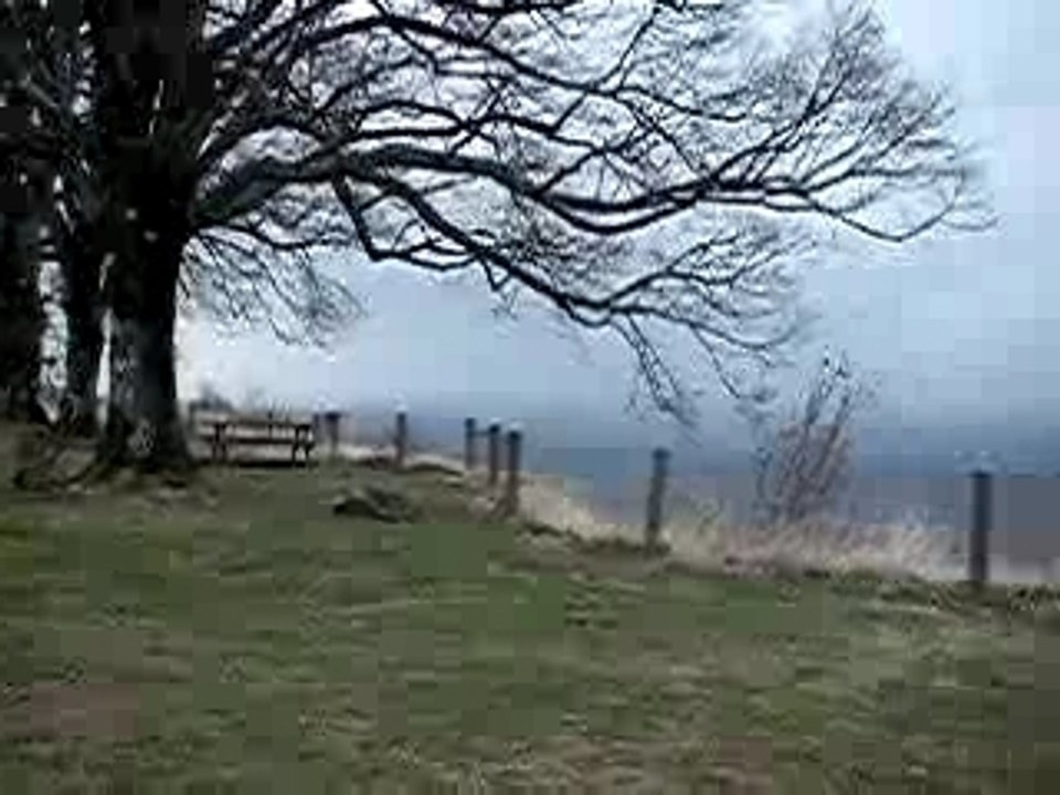 Pour Paulo 2