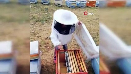 Beş yaşındaki arıcının şaşırtan cesareti görenleri hayran bıraktı