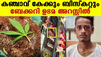 ആരെയും പേടിക്കാതെ എവിടെയിരുന്നും കഞ്ചാവ് കഴിക്കാം | Oneindia Malayalam
