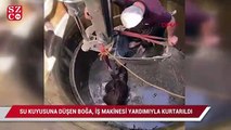 Su kuyusuna düşen boğayı böyle kurtardılar