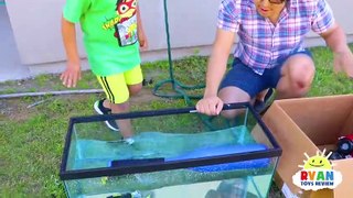 Sink Or Float For Kids Science Experiments You Can Do At Home With Ryan Toysreview!