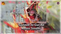 Gulaab Jo Gul Aa | Aamir Sindhi | Super Hit Sindhi Song | Sindhi Gaana
