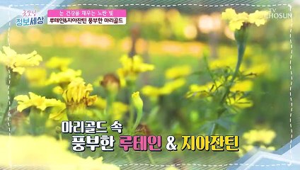 눈 건강 지킴이! 『○○○○』 꽃의 정체는? TV CHOSUN 210615 방송