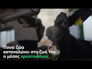 Πόσα ζώα καταναλώνει στη ζωή του ο μέσος κρεατοφάγος
