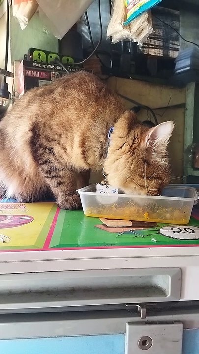 feeding time