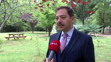 'Müsilajın balık ve midyeye etkisi yok'