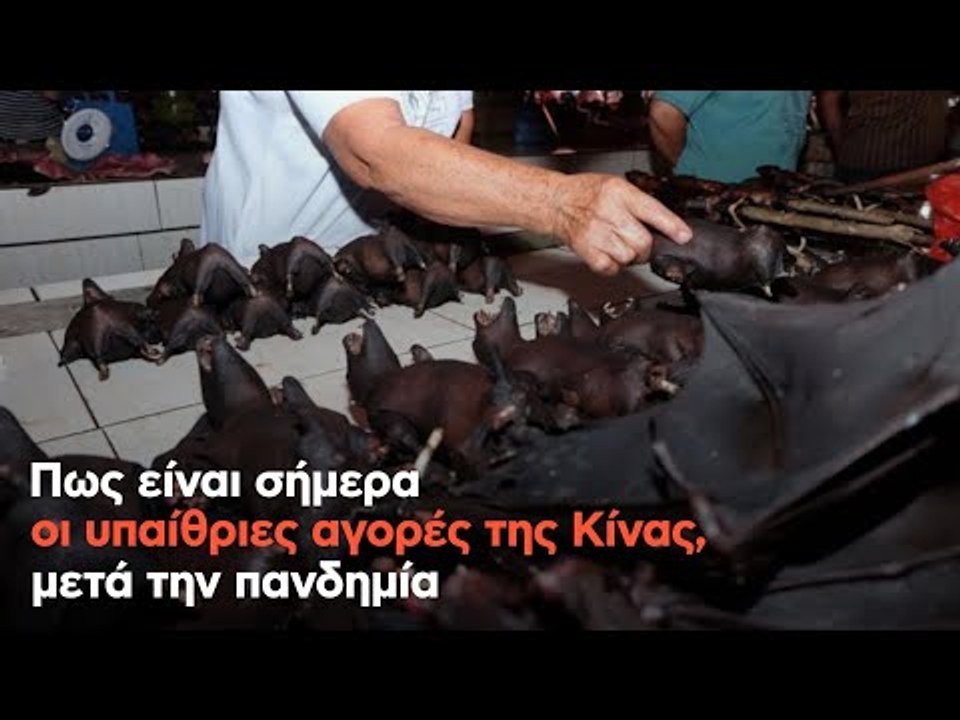 Πως είναι σήμερα οι υπαίθριες αγορές της Κίνας, μετά την πανδημία