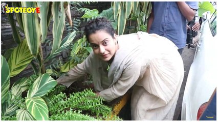 Kangana Ranaut Spotted Planting Trees Outside Her Office