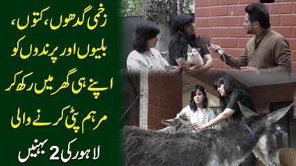 Zakhmi gadhon kuton biliyon aur prindon ko apne he ghr me rakh kr marham pati krny Wali Lahore ki do behnay…