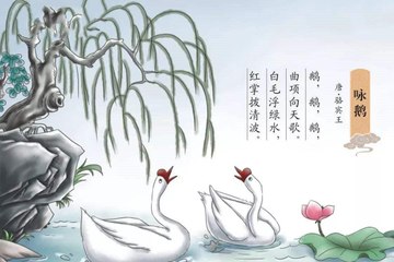59咏鹅   骆宾王|古诗|ancient poetry|品读千古诗文|学习中华经典|中华经典|国学|[品讀千古詩文|學習中華經典|中華經典]