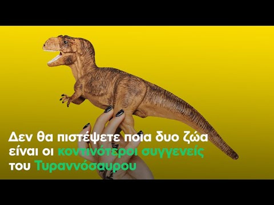 Δεν θα πιστέψετε ποια δυο ζώα είναι οι κοντινότεροι συγγενείς του Τυραννόσαυρου
