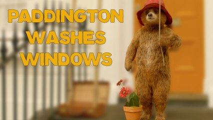 Paddington | Paddington Washes Windows to Make Money | Bear Kind