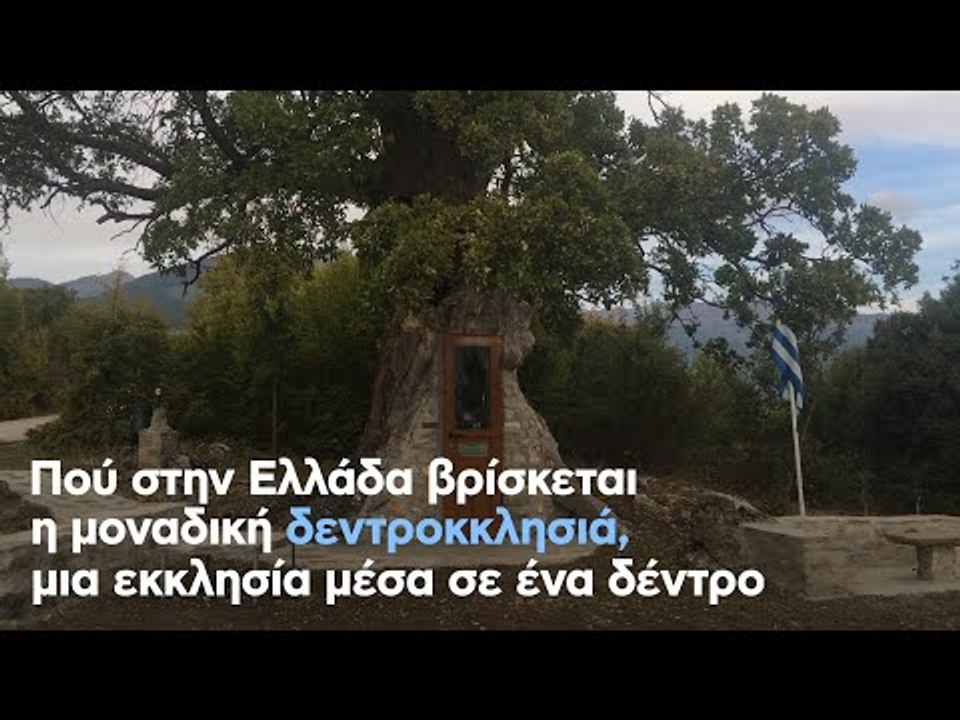 Πού στην Ελλάδα βρίσκεται η μοναδική δεντροκκλησιά, μια εκκλησία μέσα σε ένα δέντρο