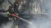 Pescara - Incendio nella Riserva Pineta Dannunziana (15.06.21)
