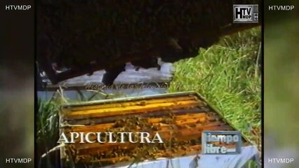 PROGRAMA TIEMPO LIBRE JORGE ZANIER POR CANAL 10 DE MAR DEL PLATA