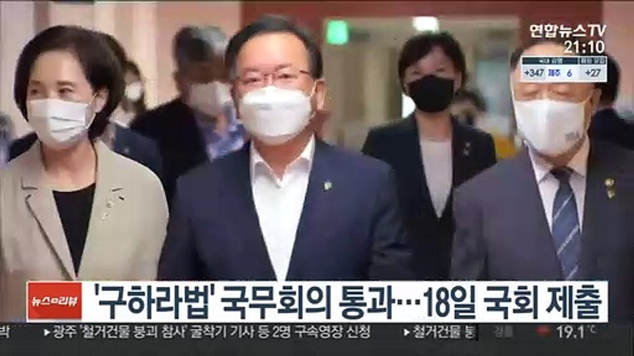 '구하라법' 국무회의 통과…18일 국회 제출