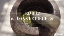 Tombez dans le Piège #142 : la sauce pistou