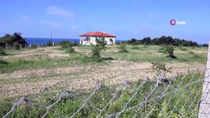 Kardeşini öldüren ağabeye müebbet hapis