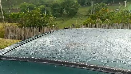 Manhã de terça (15/6) com geadas e temperatura abaixo de 2 °C no Sul de MG
