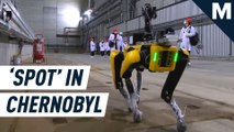 A Boston Dynamics robot dog is going to Chernobyl