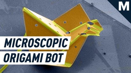 Microscopic robots unfold like origami birds