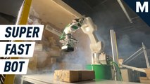 ‘Dill’ is a super-fast robot that can unload 1600 boxes an hour