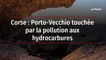 Corse : Porto-Vecchio touchée par la pollution aux hydrocarbures