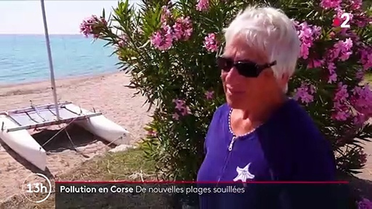 Pollution en Corse : de nouvelles plages fermées près de Porto-Vecchio
