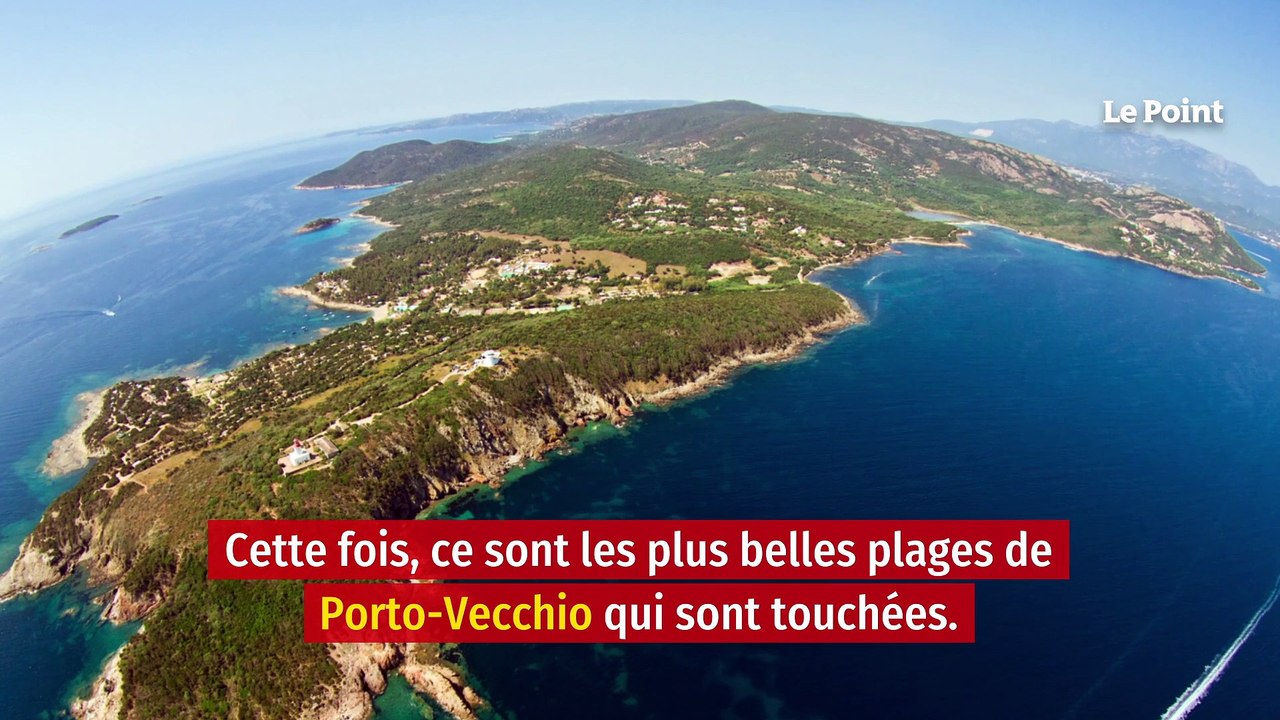 Corse : Porto-Vecchio touchée par la pollution aux hydrocarbures