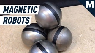 Like a miniature Voltron, these magnetic sphere robots can assemble and move as one