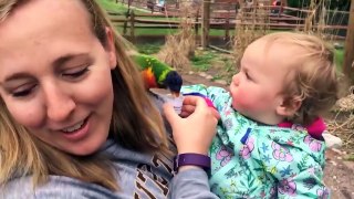 funniest child moment _ Funny Weekend At The Zoo / TRY  NOT TO LOUGH