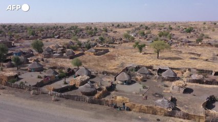 Sudan, scarcerato dopo 70 giorni Marco Zennaro