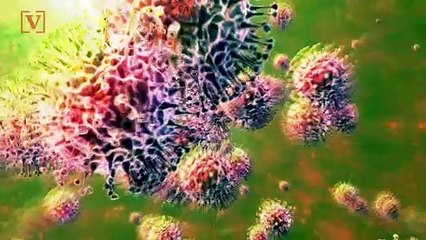 A Look Into Vaccine Efficacy Against the Covid-19 Delta Variant