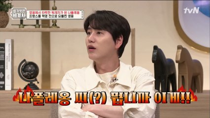 혁명 이후, 프랑스 국민의 영웅이 된 나폴레옹의 배신♨ 황제 즉위 투표?!