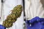 Washington Offers Cannabis Incentives to Encourage COVID-19 Vaccinations