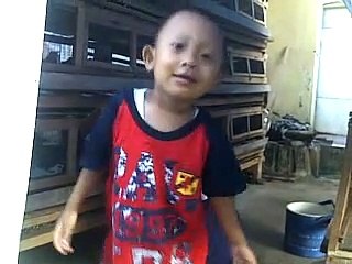 alm. abah n hamzah kasih makan puyuh