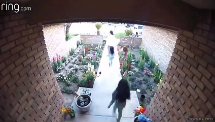 Elle sauve ses enfants de 2 pitbulls