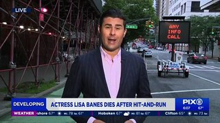 Actress Lisa Banes dies after hitandrun scooter crash on Upper West Side reports