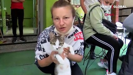 Küçükçekmece'de kedi yediğini itiraf eden Japon vatandaşı sınır dışı edilecek