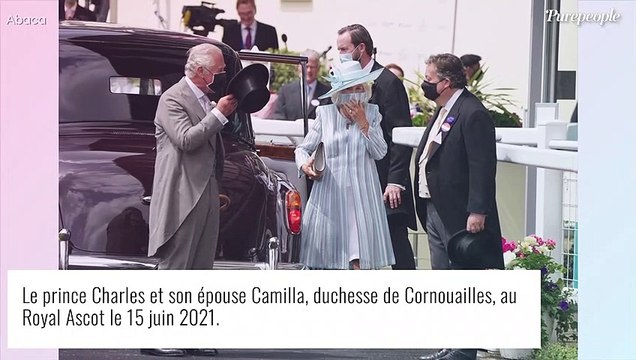 Zara et Mike Tindall main dans la main, Sophie de Wessex presque seule... Le Royal Ascot de retour !