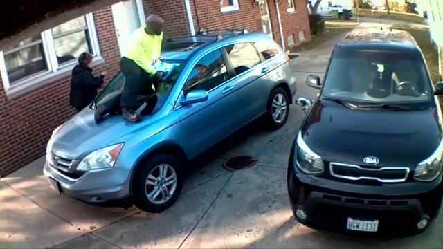 DOGS CHASING & SCARING DELIVERY GUYS