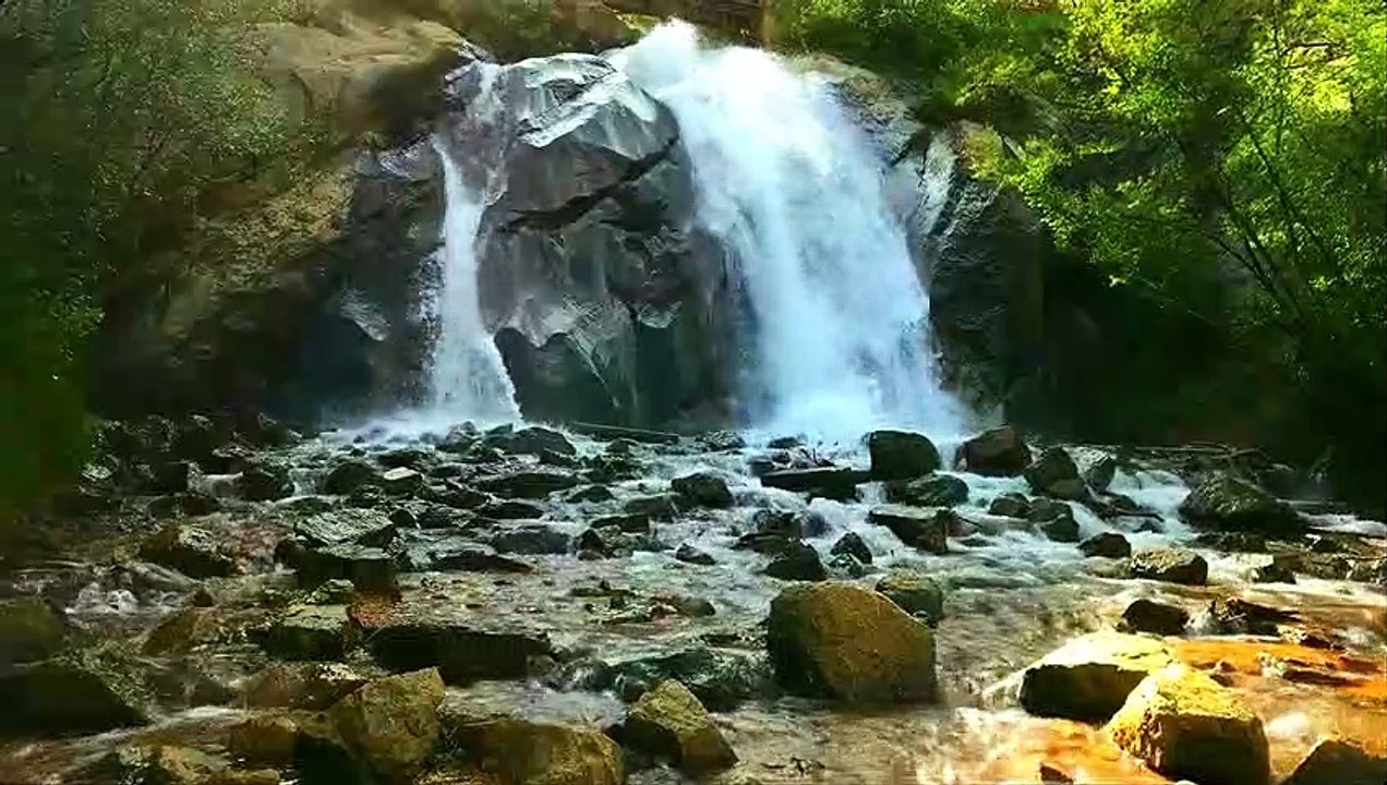 Relaxing Nature sound