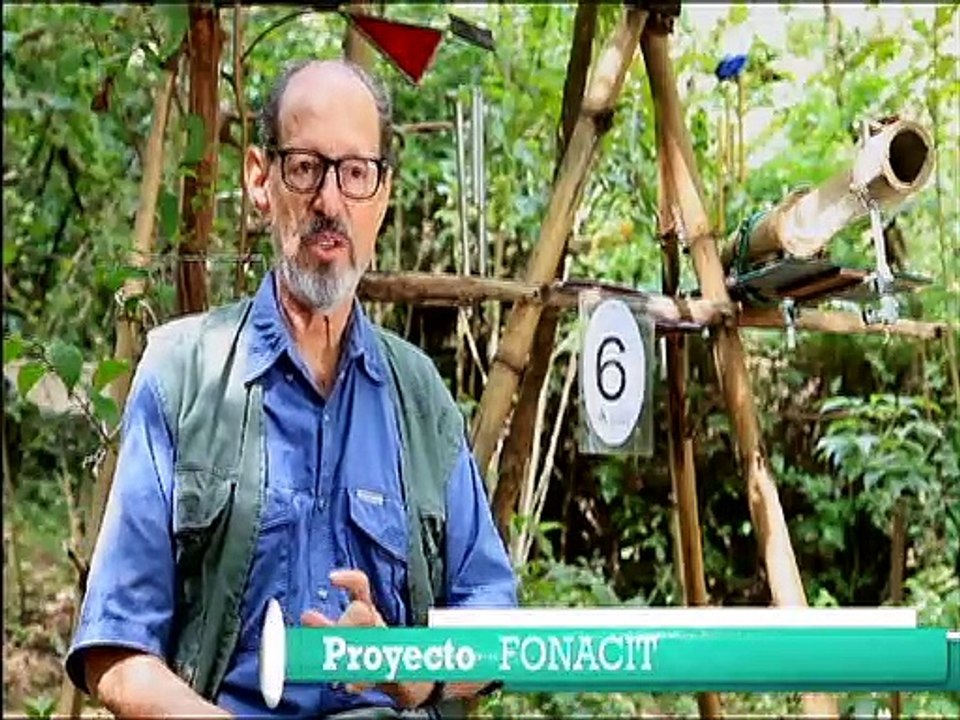 Ciencia Para Todos 19JUN2021 | Biólogos venezolanos crean estrategias de conservación en Caracas