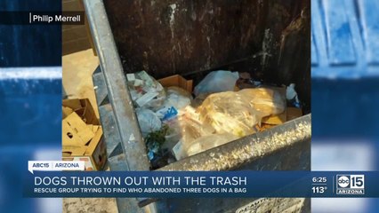 Valley man finds dogs in trash by Walmart